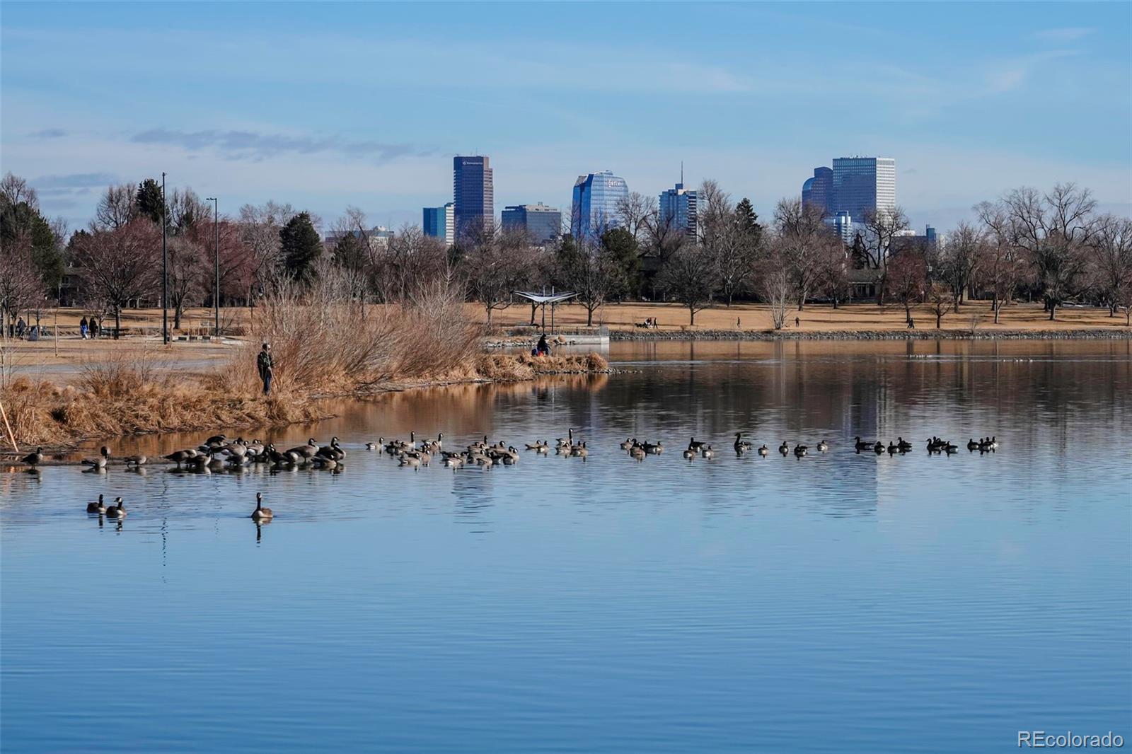 2808 Eaton Street Wheat Ridge, CO 80214 - Photo 31 of 36 a backyard of a house with lots of green space