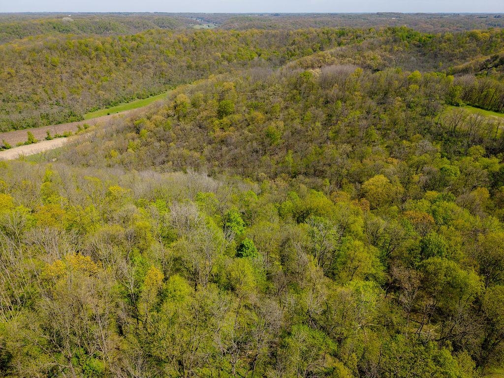 17797 Dayton Ridge Road Muscoda, WI 53573 - Photo 29 of 75