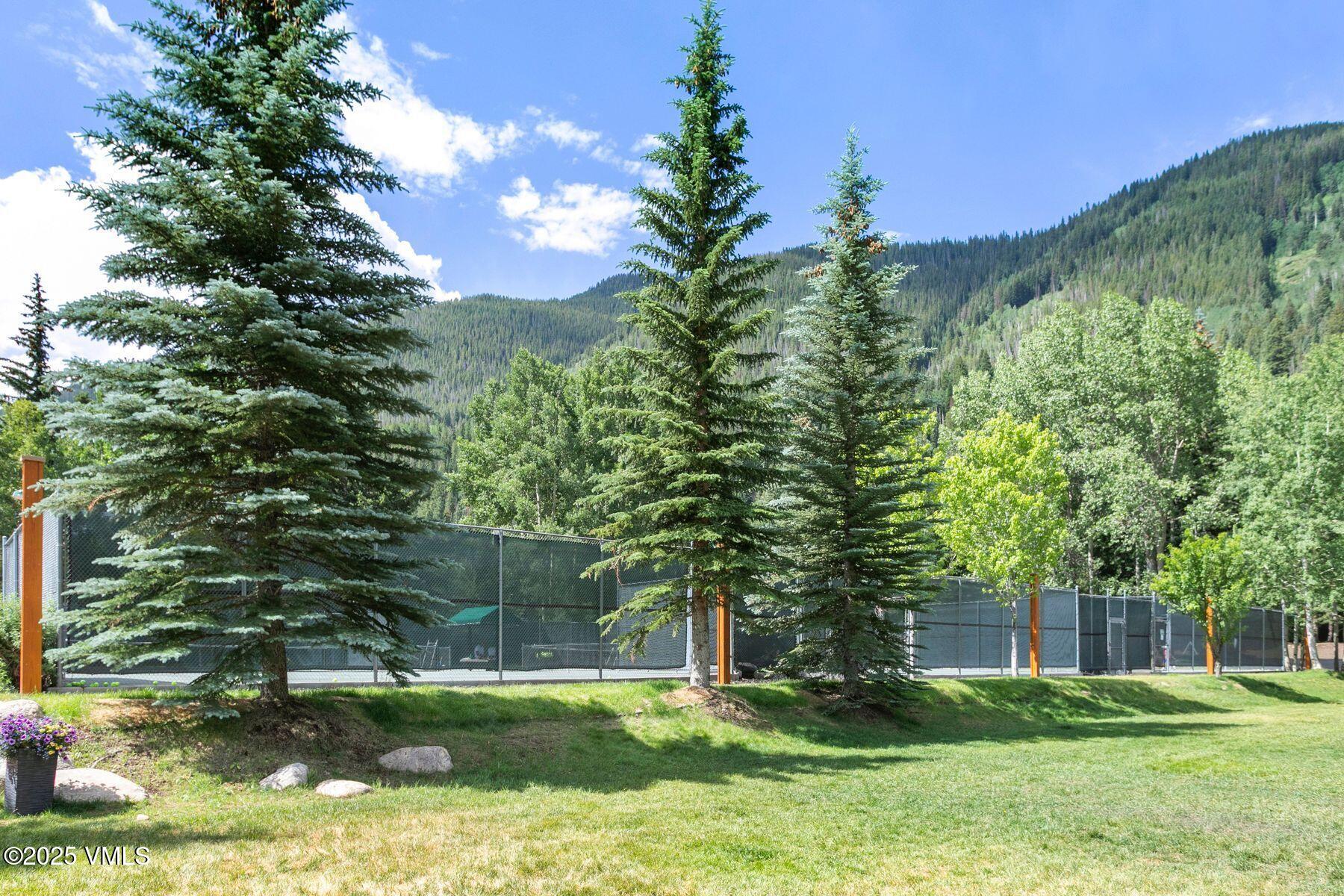 4610 Vail Racquet Club Drive, Unit 2 Vail, CO 81657 - Photo 17 of 29 photo_online_015