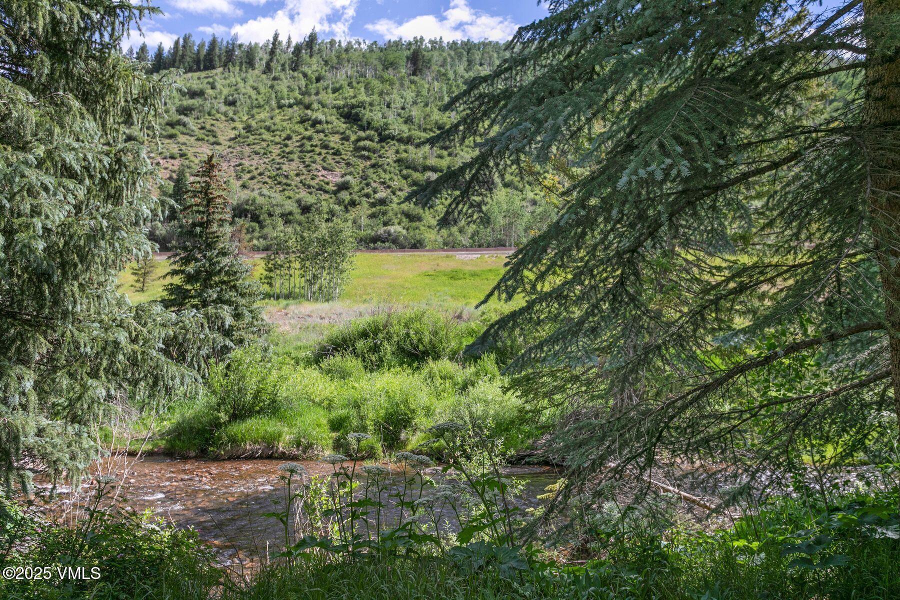 4610 Vail Racquet Club Drive, Unit 2 Vail, CO 81657 - Photo 19 of 28 a view of a forest with a yard