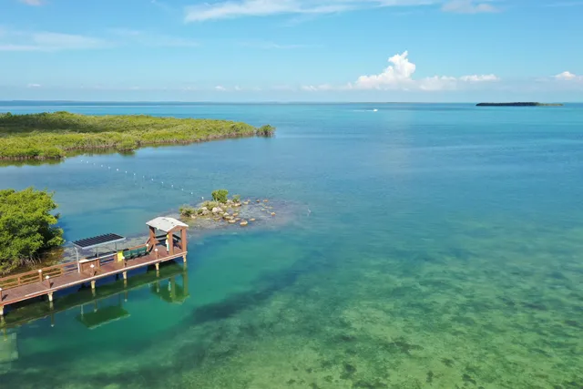 a view of a lake with a nearby beach