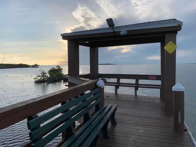 a view of a backyard of the house