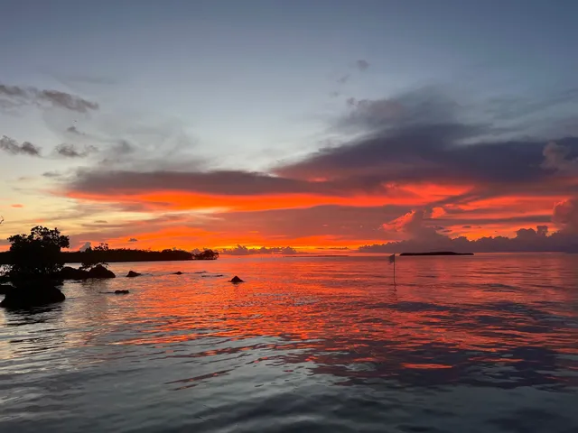 a car parked on the side of the road