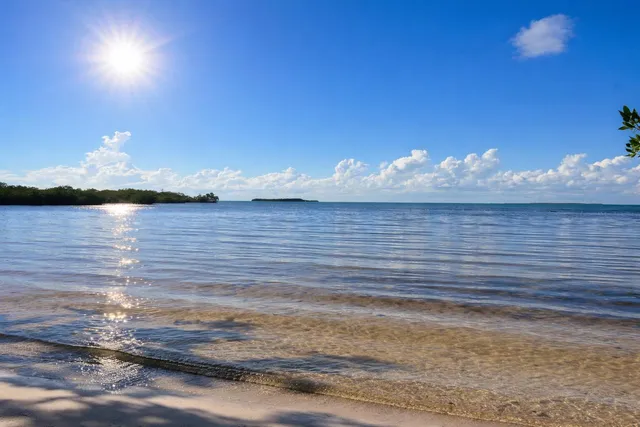 a view of outdoor space with lounge chair