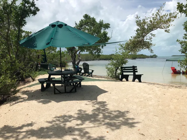 a view of a lake in middle of green field