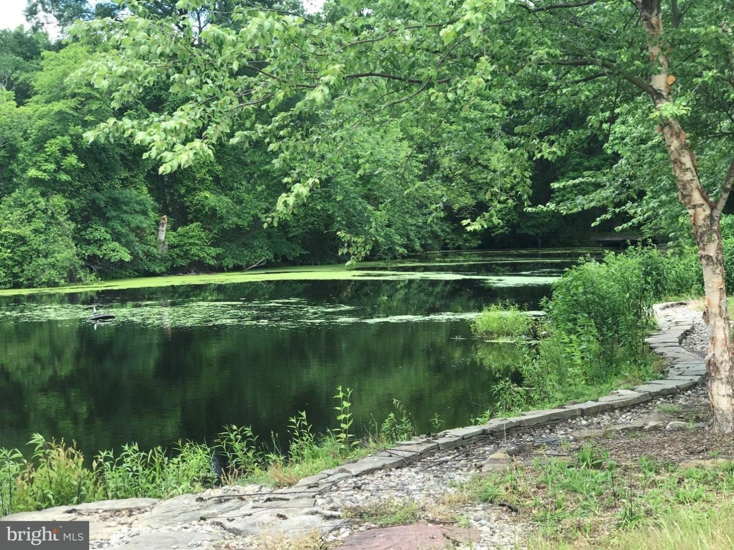 253 Hartford Road Medford, NJ 08055 - Photo 20 of 25 Gallery Image 20