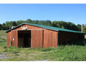 2588 Whitehouse Road Greeneville, TN 37745 - Photo 3 of 9 Photo 3