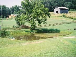2588 Whitehouse Road Greeneville, TN 37745 - Photo 5 of 9 Photo 5