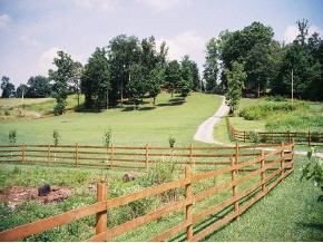2588 Whitehouse Road Greeneville, TN 37745 - Photo 6 of 9 Photo 6