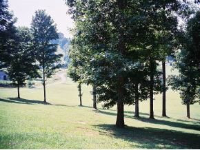 2588 Whitehouse Road Greeneville, TN 37745 - Photo 7 of 9 Photo 7
