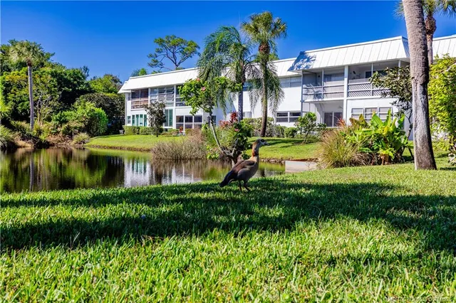 a view of a house with a swimming pool