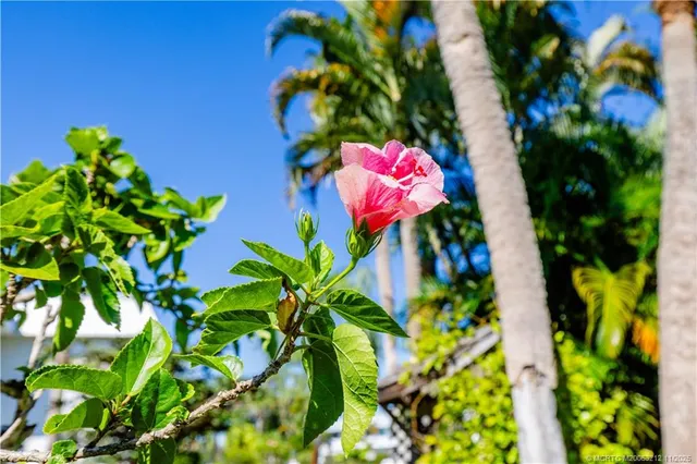 $169,000 | 2929 Southeast Ocean Boulevard, Unit K1, Stuart, FL 34996