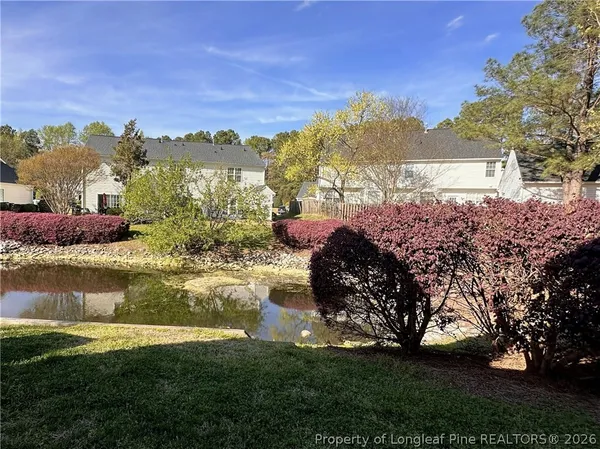 a view of a park with entertaining space