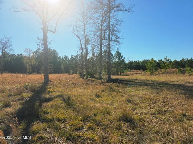 $66,000 | 310 Lays Lake Drive, Tabor City, NC 28463