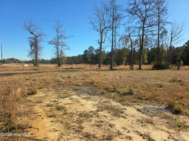 $66,000 | 310 Lays Lake Drive, Tabor City, NC 28463