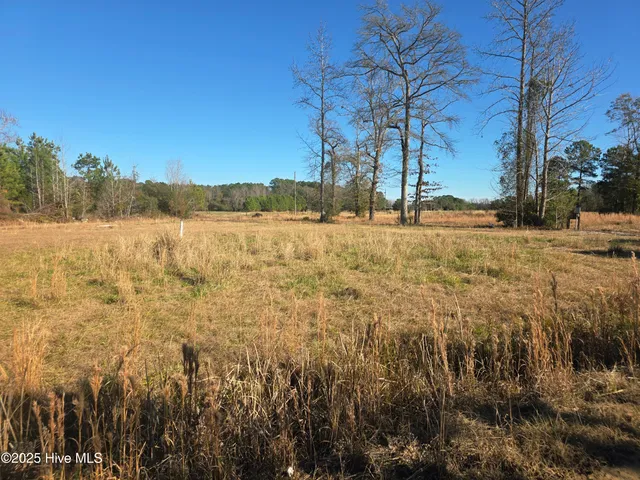 $66,000 | 310 Lays Lake Drive, Tabor City, NC 28463