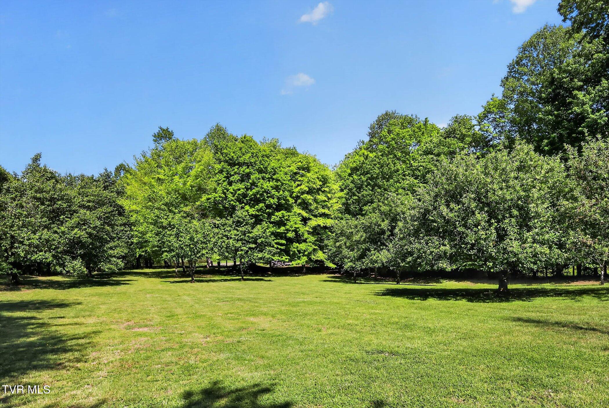 13544 Revera Drive Mendota, VA 24270 - Photo 39 of 58 33-13544-Revera-Dr-Mendota-VA-24270-Wind