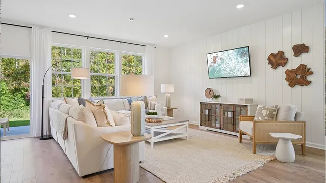 a living room with furniture and a potted plant