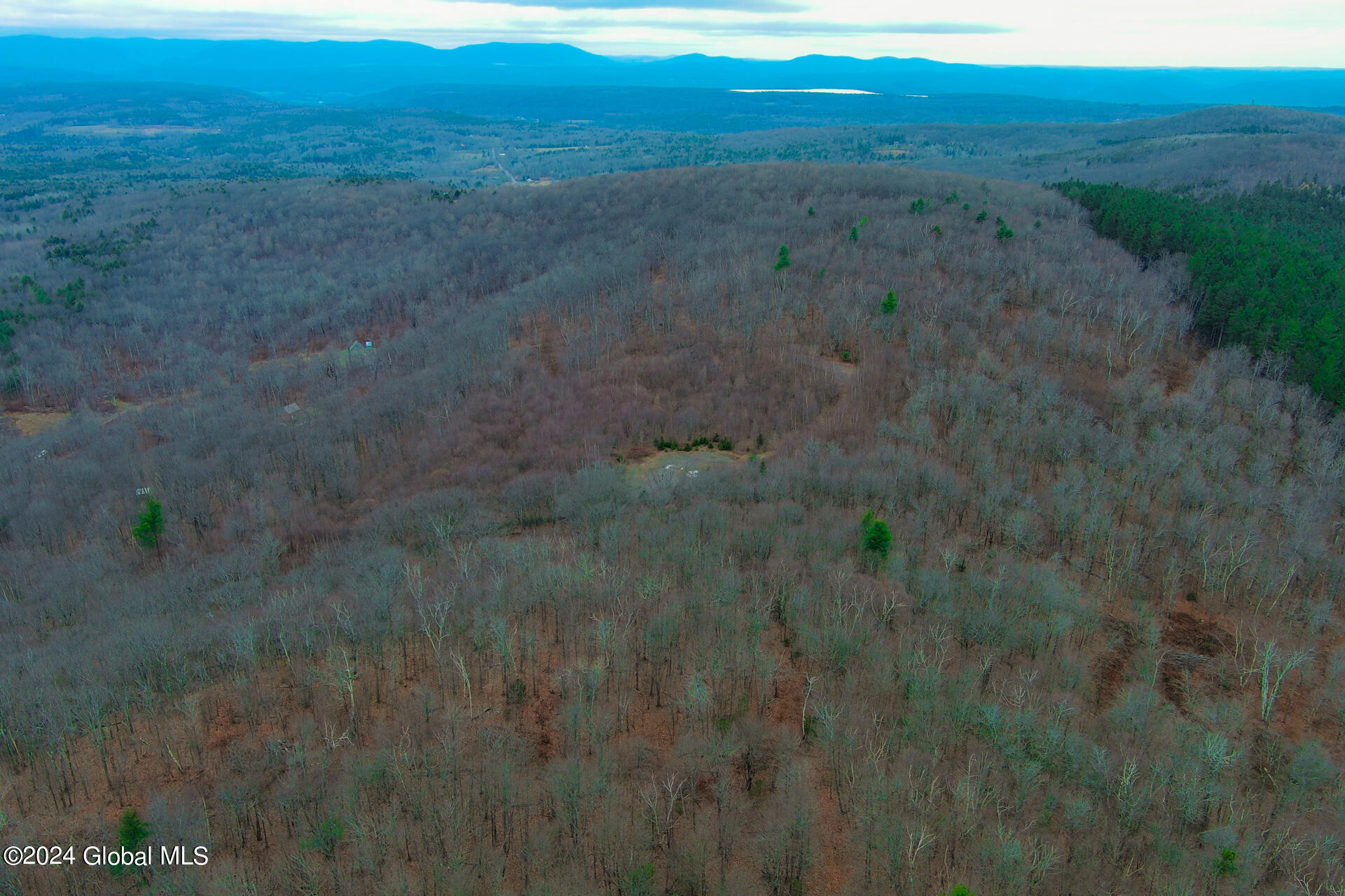 L9 Rogers Road Gilboa, NY 12076 - Photo 11 of 19 11