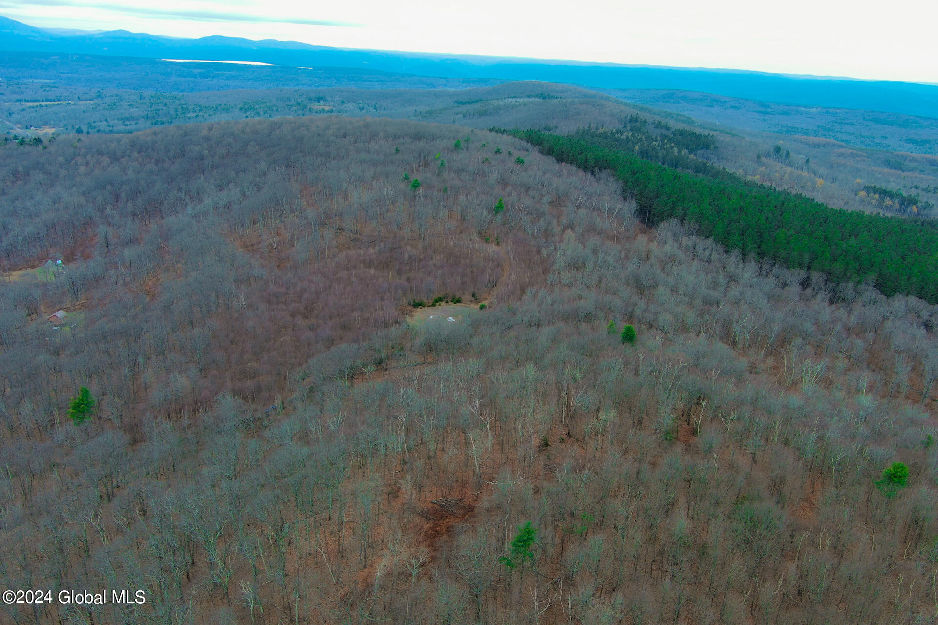 L9 Rogers Road Gilboa, NY 12076 - Photo 12 of 19 12