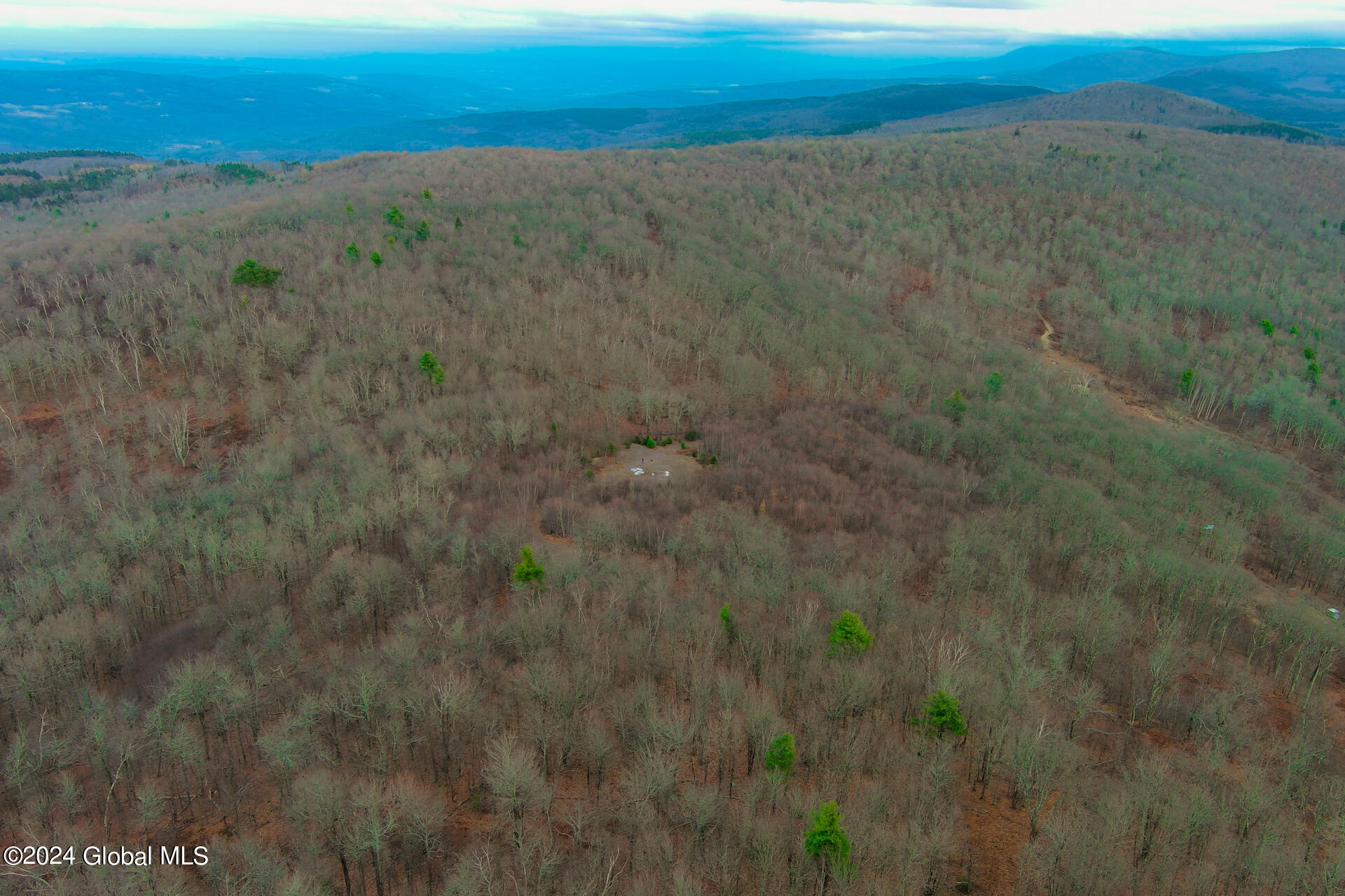 L9 Rogers Road Gilboa, NY 12076 - Photo 13 of 19 13