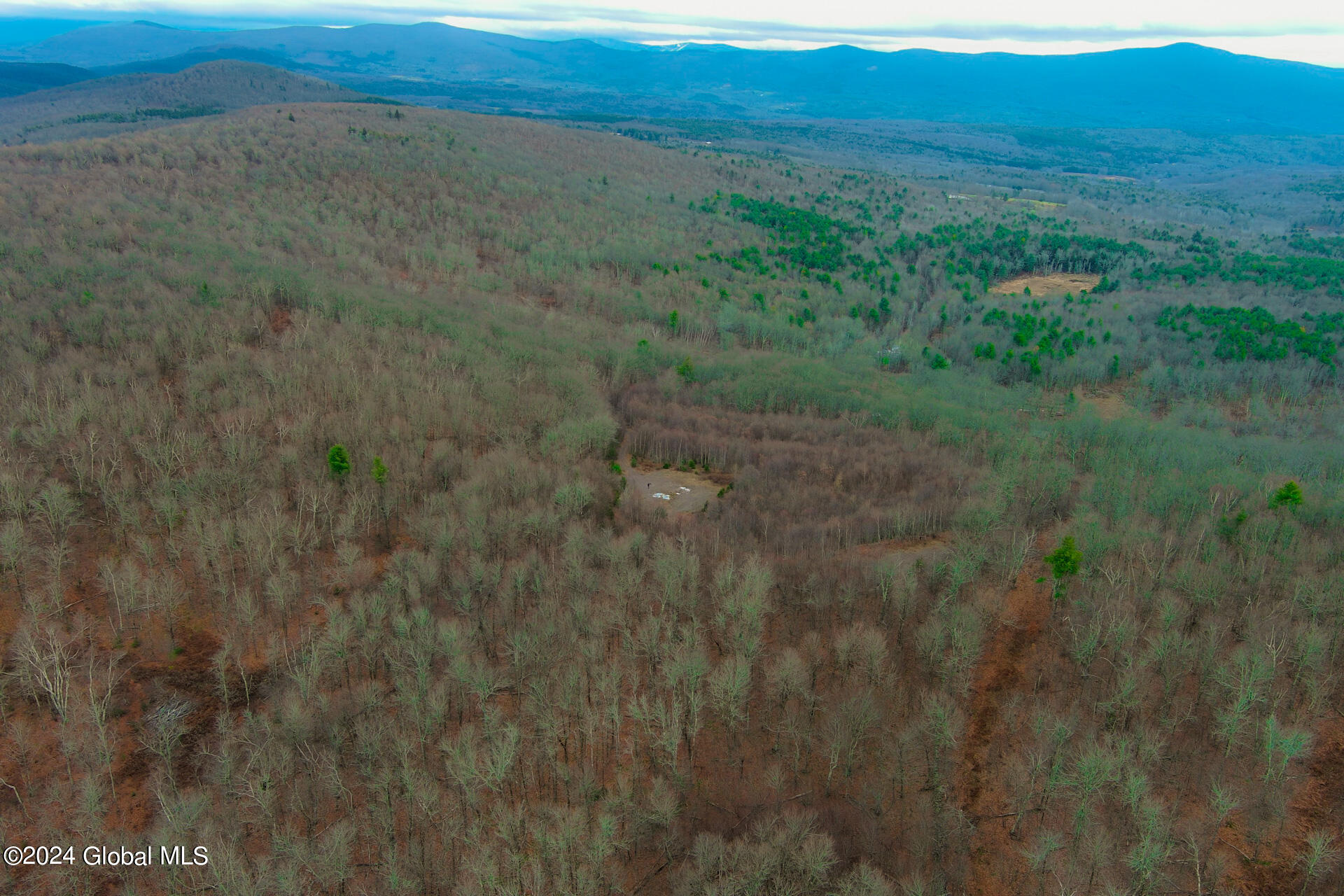 L9 Rogers Road Gilboa, NY 12076 - Photo 14 of 19 14