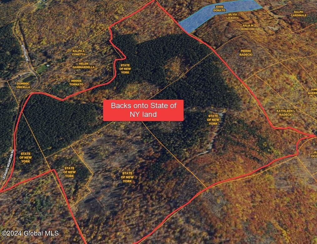 L9 Rogers Road Gilboa, NY 12076 - Photo 15 of 19 15