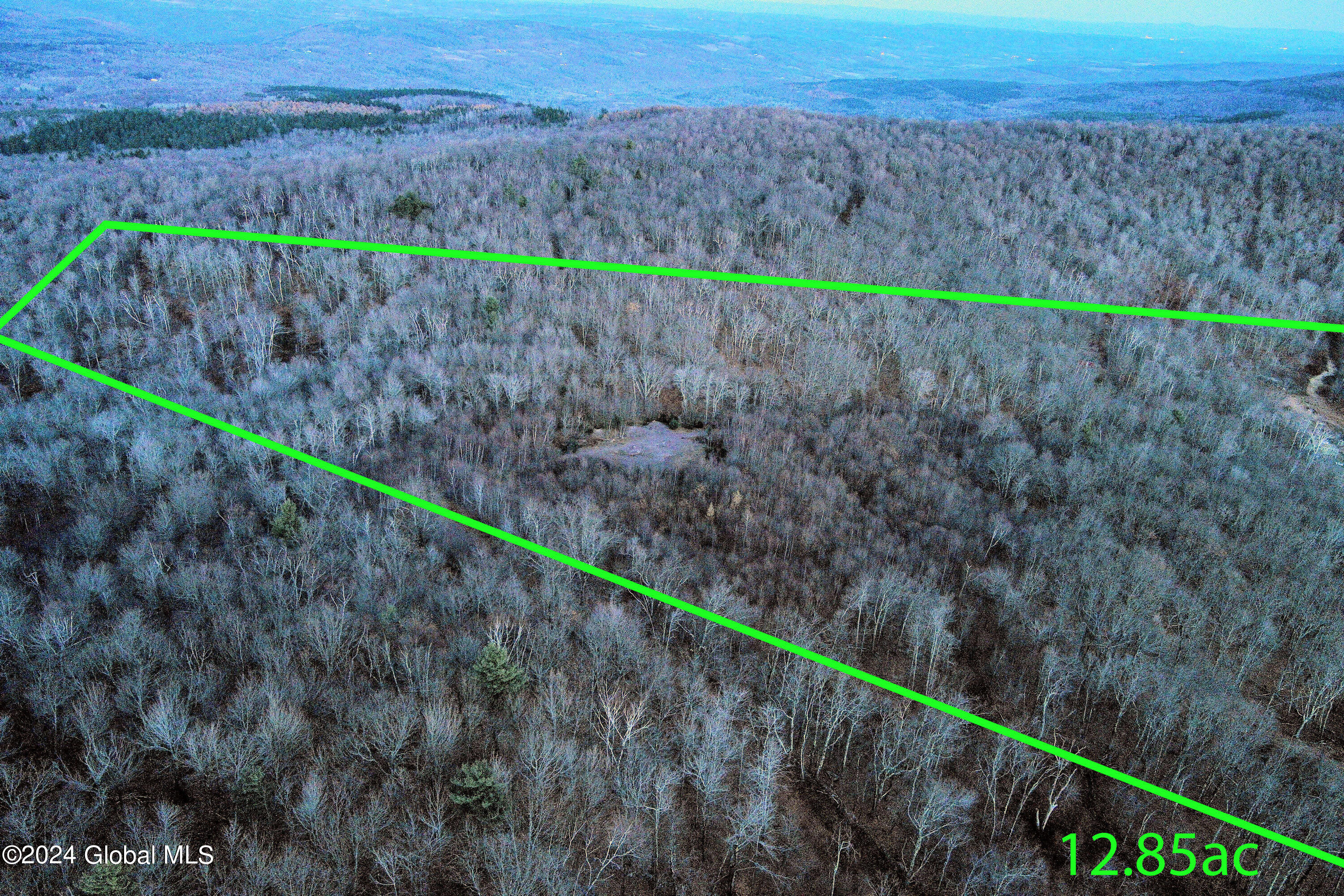 L9 Rogers Road Gilboa, NY 12076 - Photo 17 of 19 17