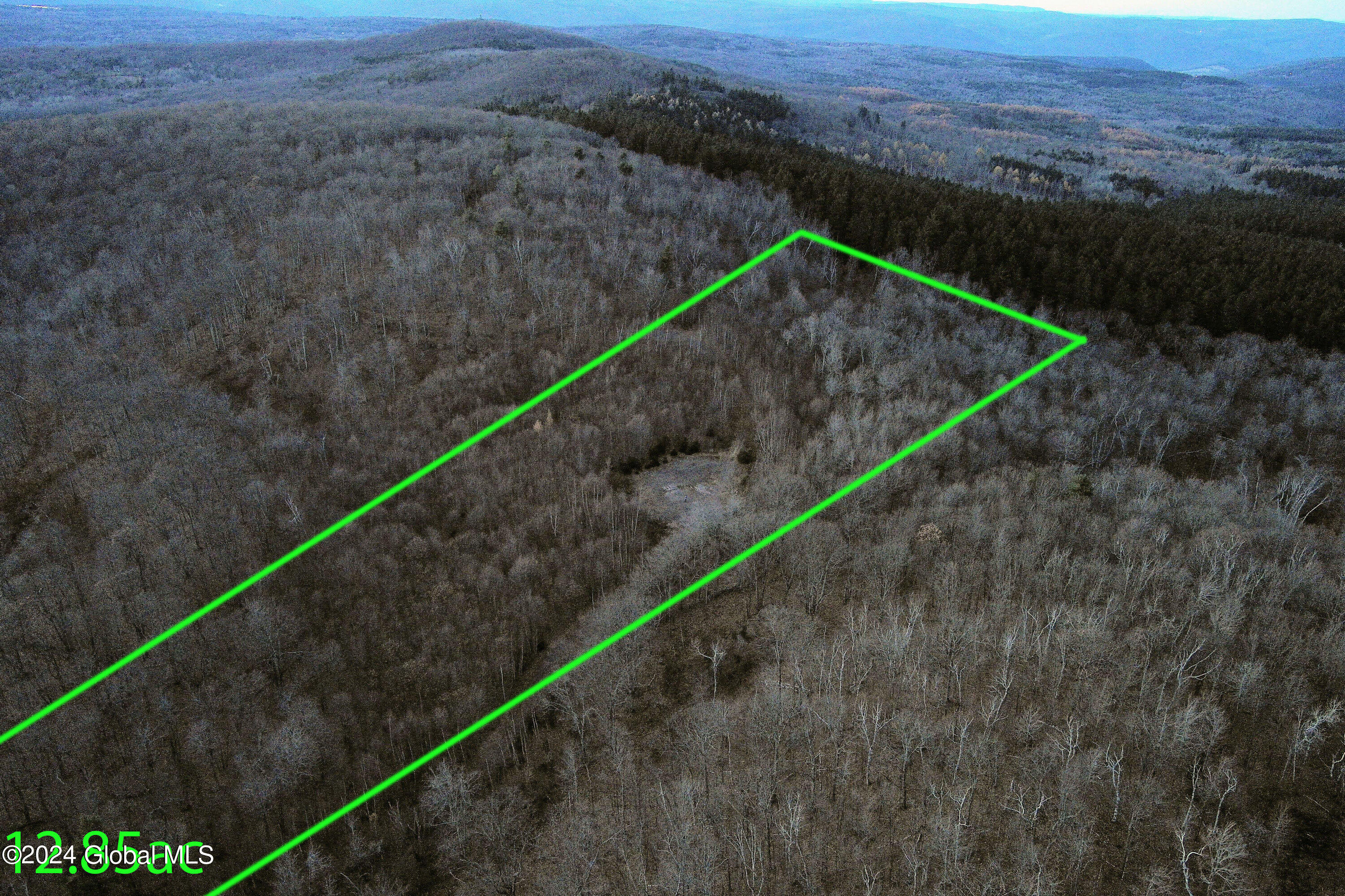 L9 Rogers Road Gilboa, NY 12076 - Photo 18 of 19 18
