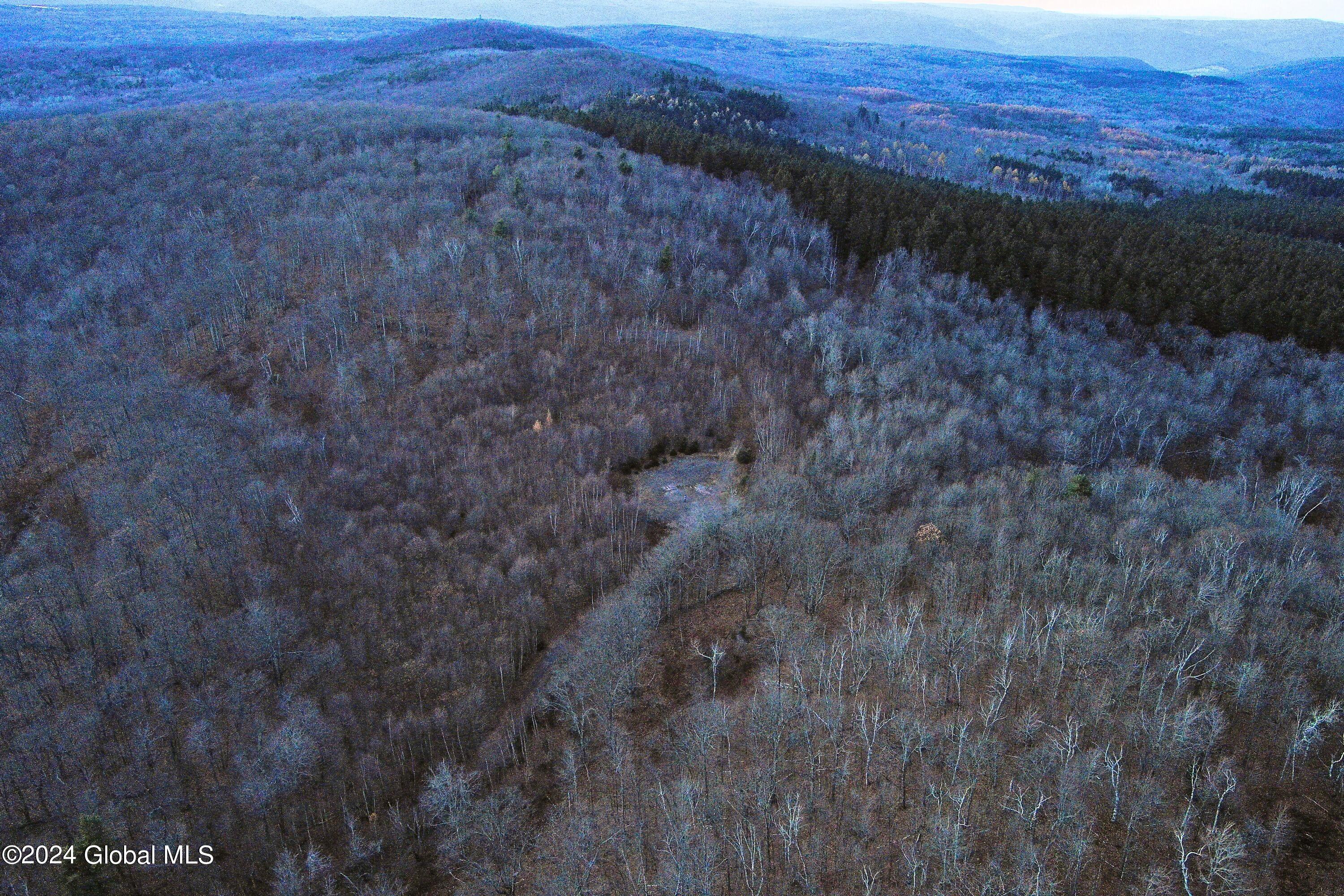 L9 Rogers Road Gilboa, NY 12076 - Photo 19 of 19 19