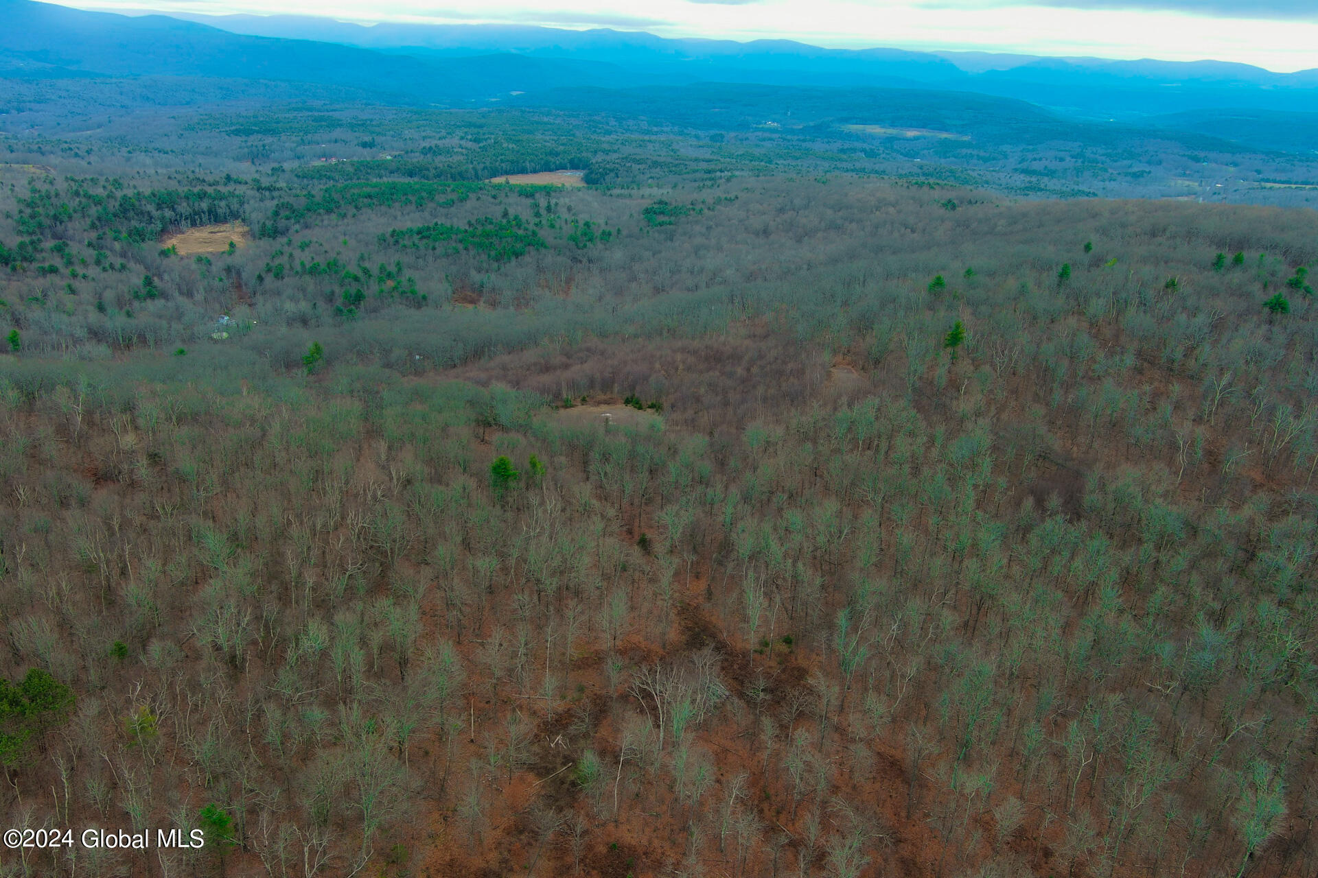 L9 Rogers Road Gilboa, NY 12076 - Photo 8 of 19 8