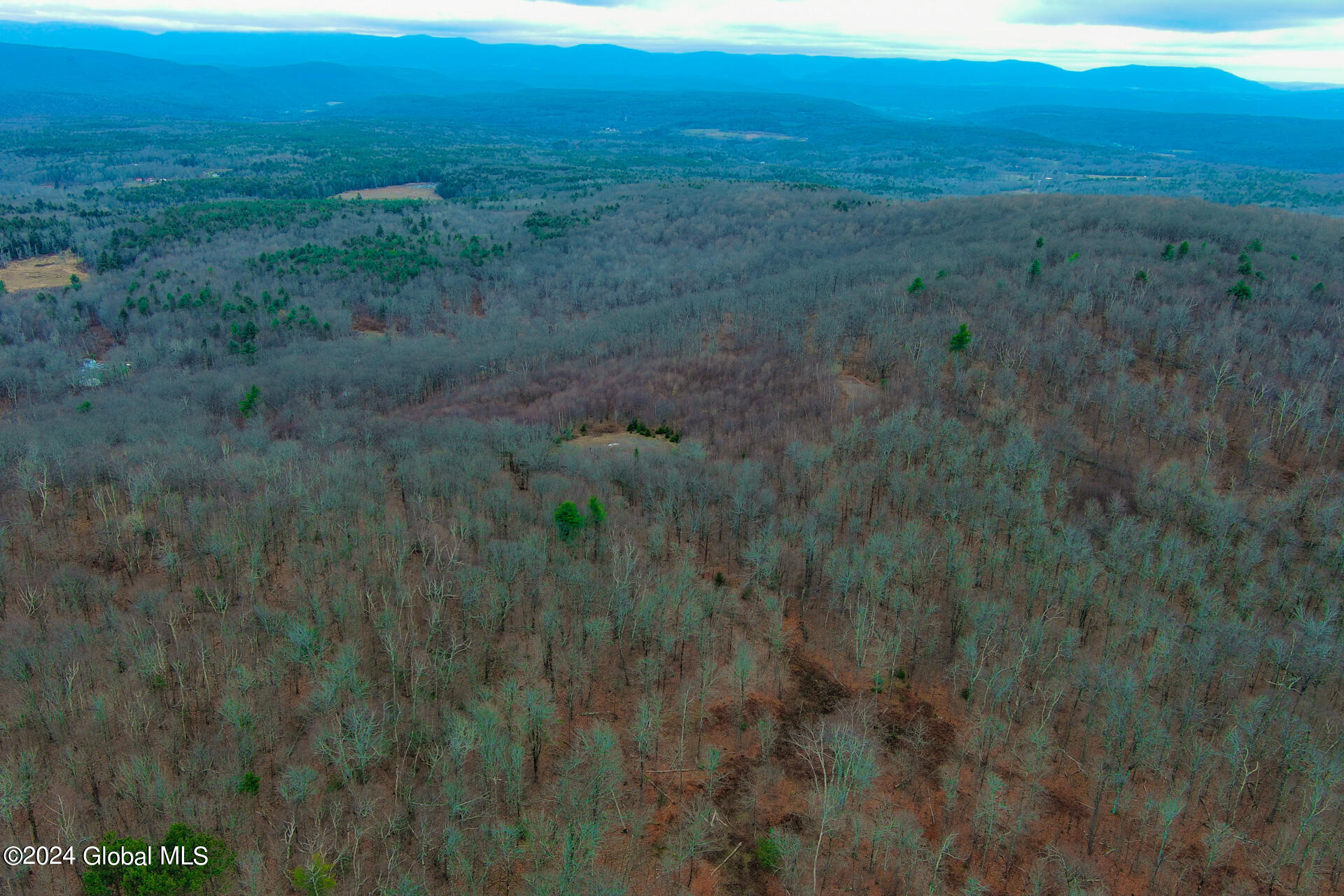 L9 Rogers Road Gilboa, NY 12076 - Photo 9 of 19 9