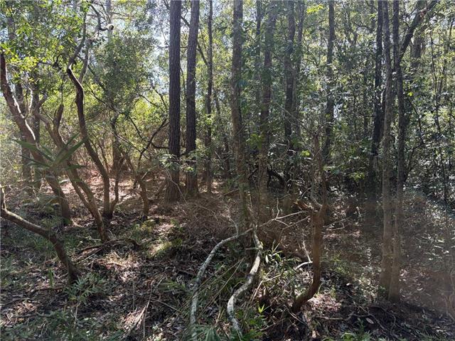0 Rayford Shumock Road Moss Point, MS 39562 - Photo 31 of 40 Gallery Image 31