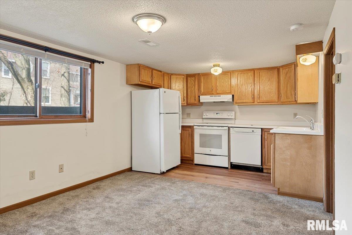608 New Street Springfield, IL 62704 - Photo 3 of 23