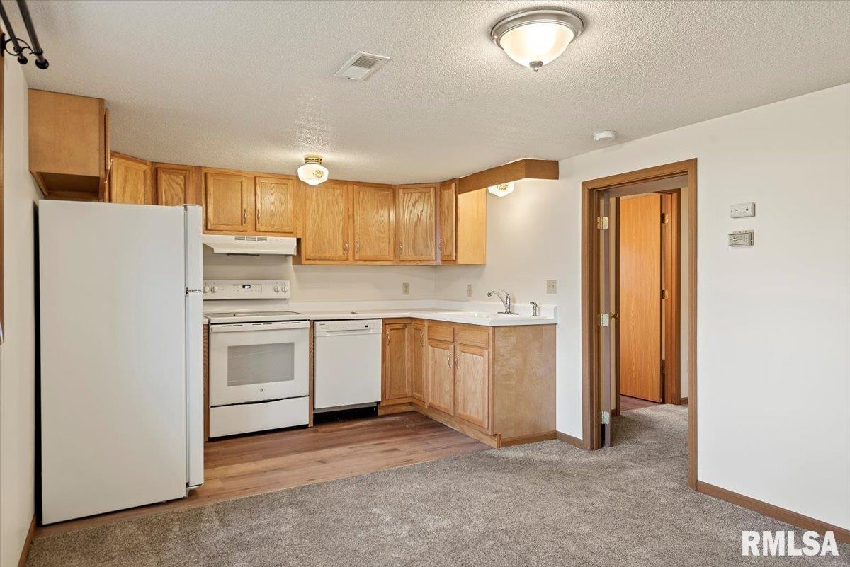 608 New Street Springfield, IL 62704 - Photo 4 of 23