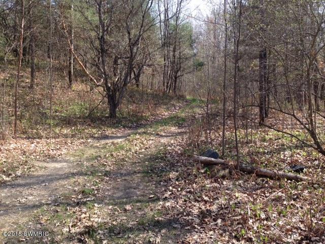 8500 19 Mile Road Marion, MI 49665 - Photo 2 of 5 photo 2 (1)