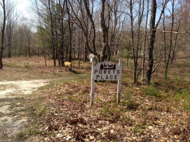 8500 19 Mile Road Marion, MI 49665 - Photo 4 of 5 photo 4 (1)