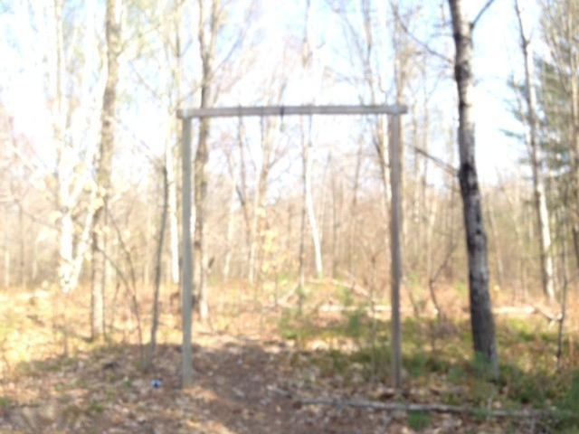 8500 19 Mile Road Marion, MI 49665 - Photo 5 of 5 BUCK pole