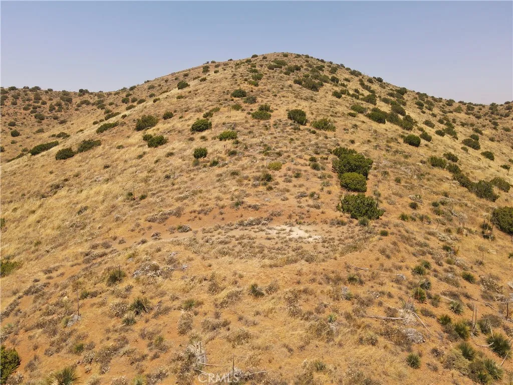 0 Valley Sage Road Acton, CA 93510 - Photo 6 of 7