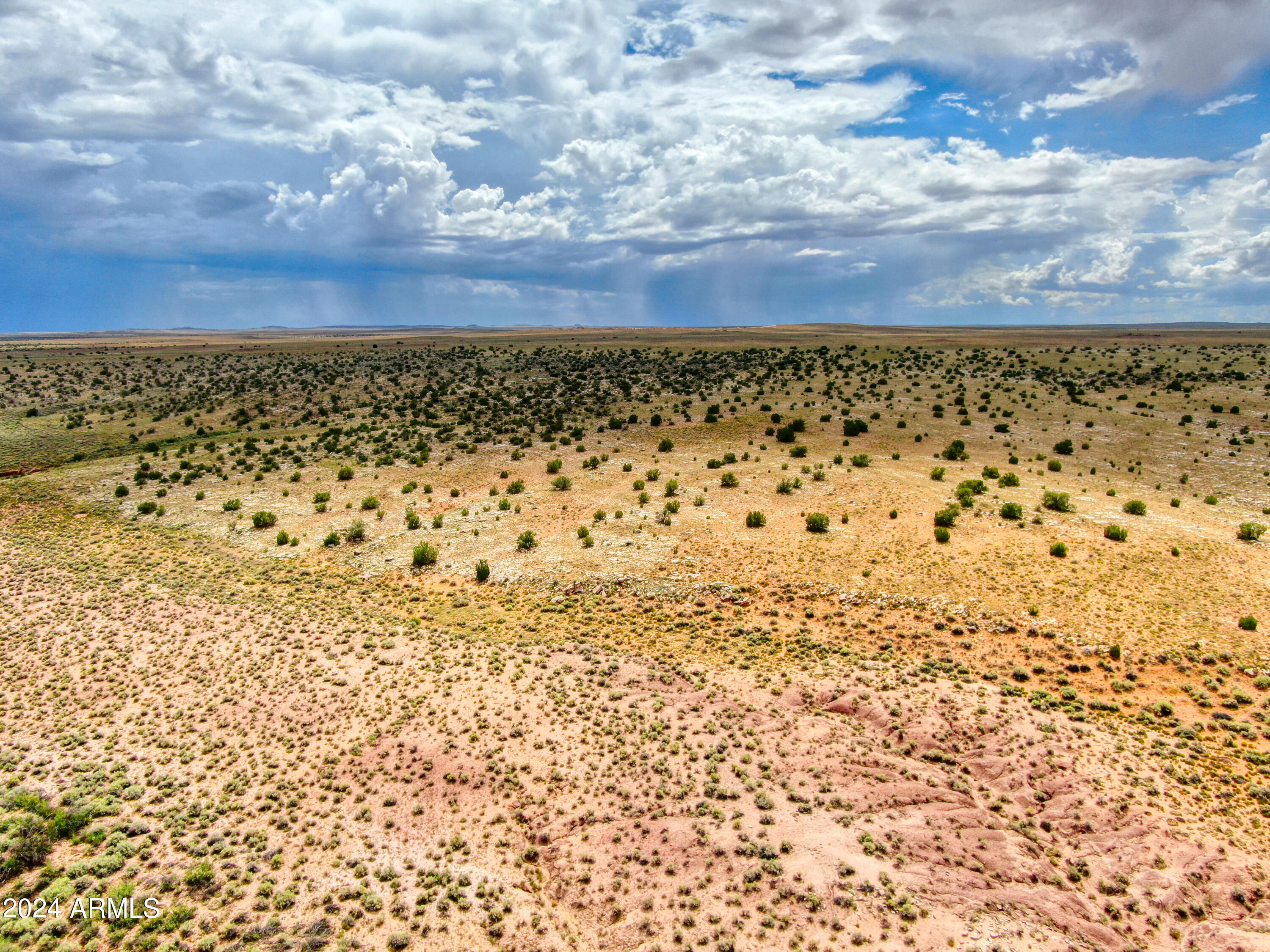 Tbd Tbd Pozo Oro Ranches Woodruff, AZ 85942 - Photo 3 of 5 Paxmanphoto_DJI_0854 2