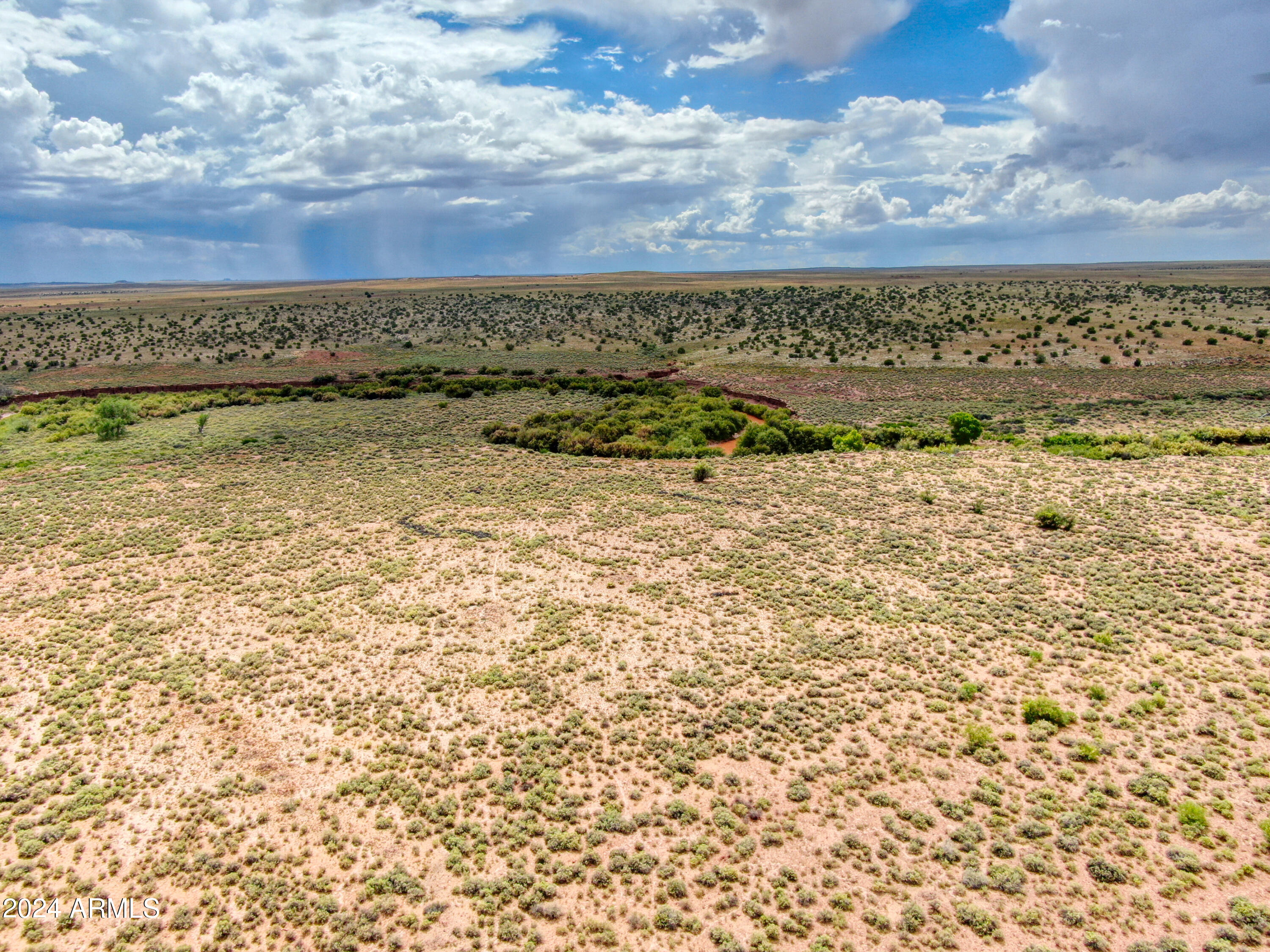 Tbd Tbd Pozo Oro Ranches Woodruff, AZ 85942 - Photo 4 of 5 Paxmanphoto_DJI_0857