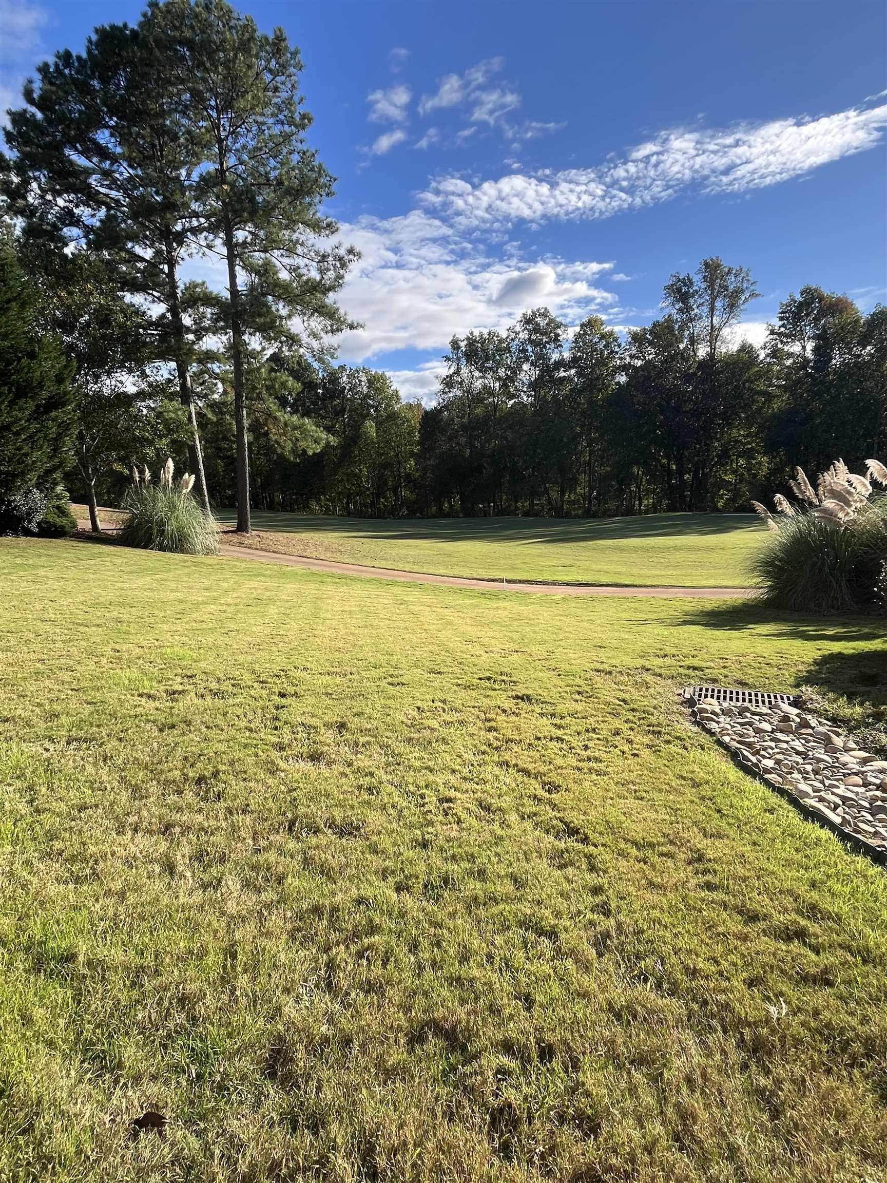 336 South Woodfin Ridge Drive Inman, SC 29349 - Photo 5 of 6