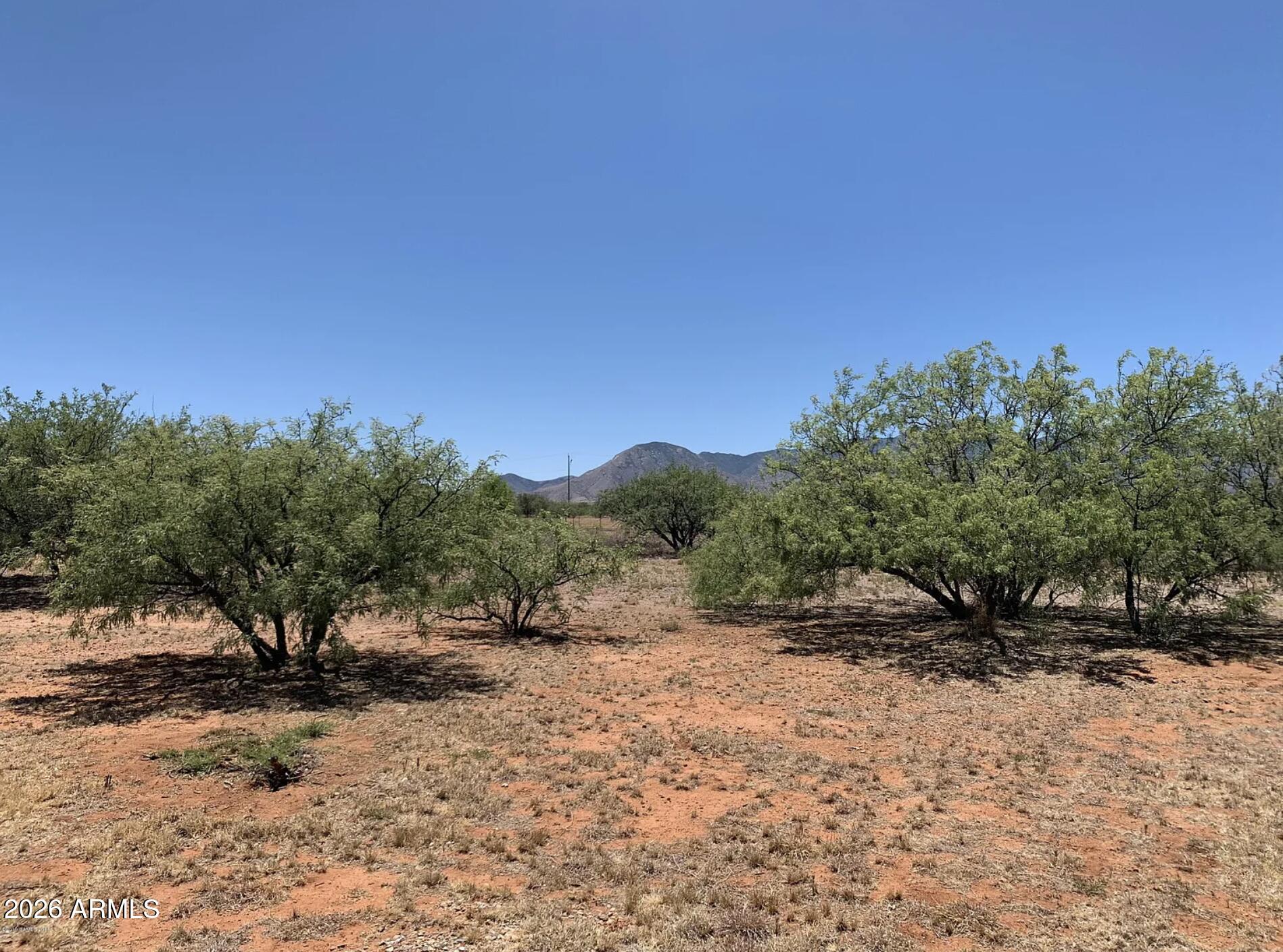 10193 East Windtalker Road Hereford, AZ 85615 - Photo 32 of 34 a view of a tree with a yard