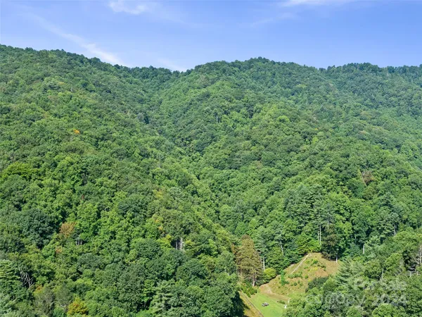 a view of a bench in the garden