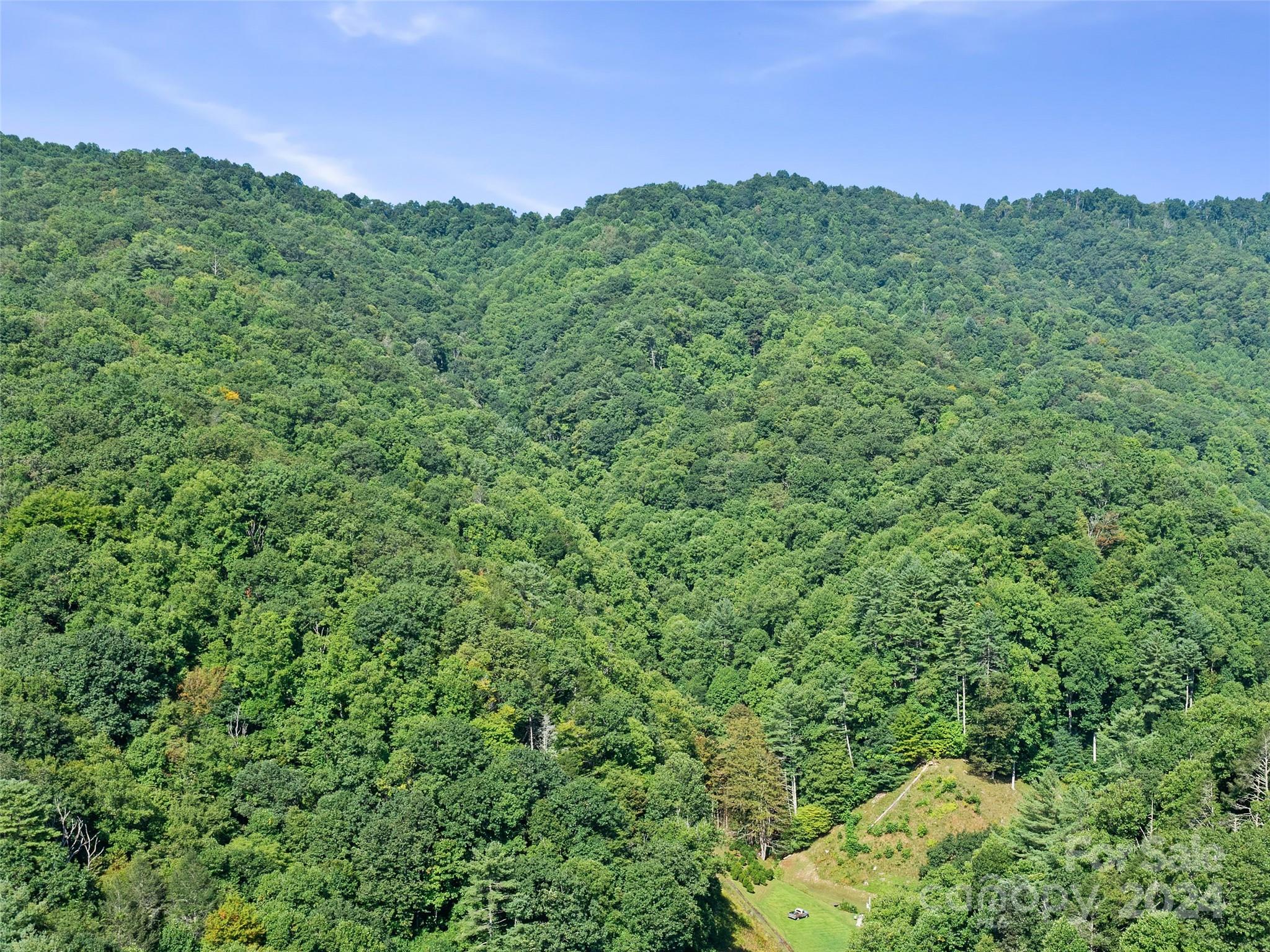 0 Byrd Cr Road Green Mountain, NC 28740 - Photo 11 of 18 a view of a green field with lots of bushes
