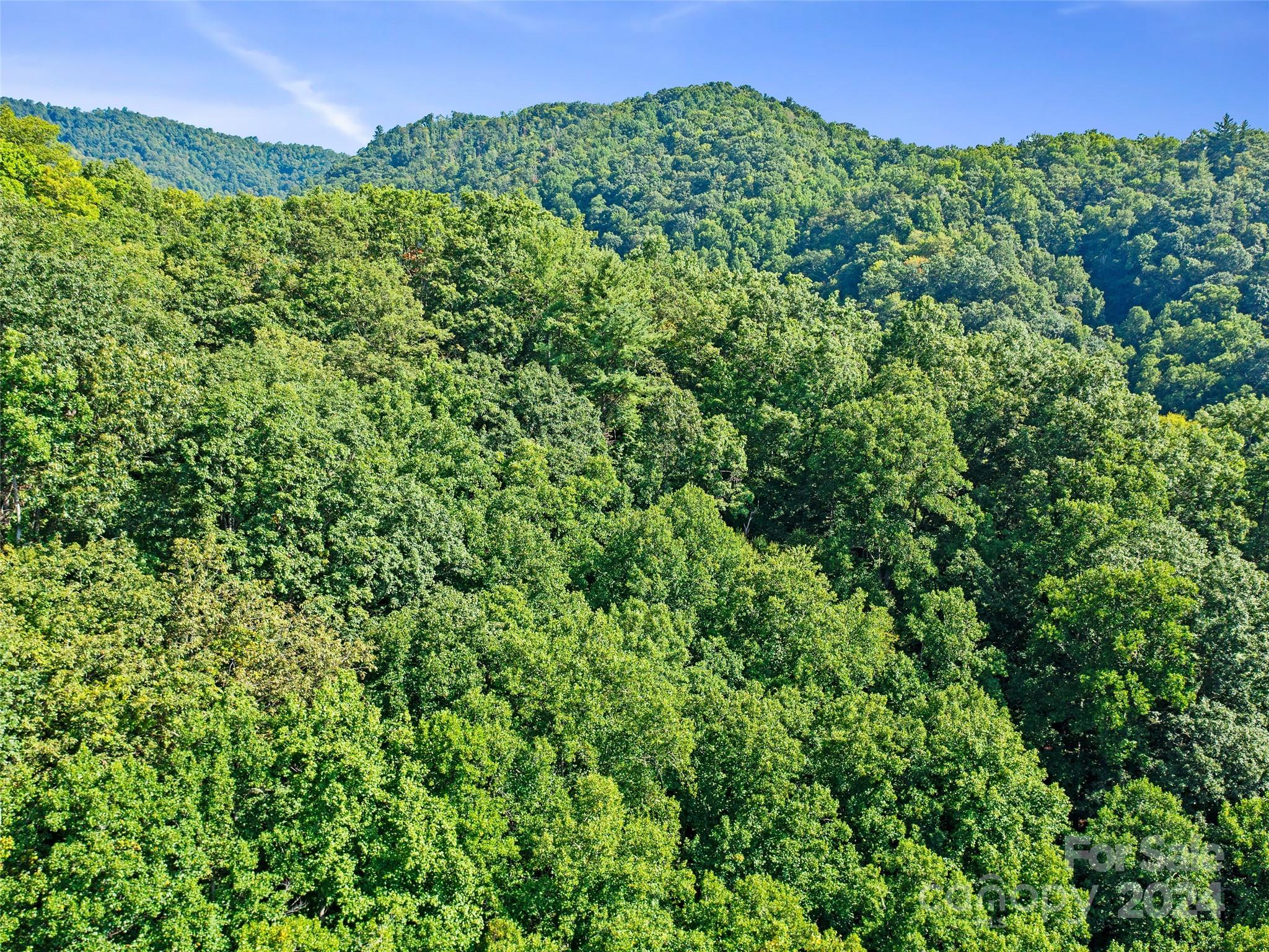 0 Byrd Cr Road Green Mountain, NC 28740 - Photo 15 of 18 a view of a lush green field
