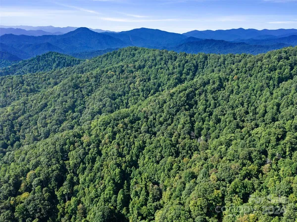 a view of a lush green forest with a house in the background