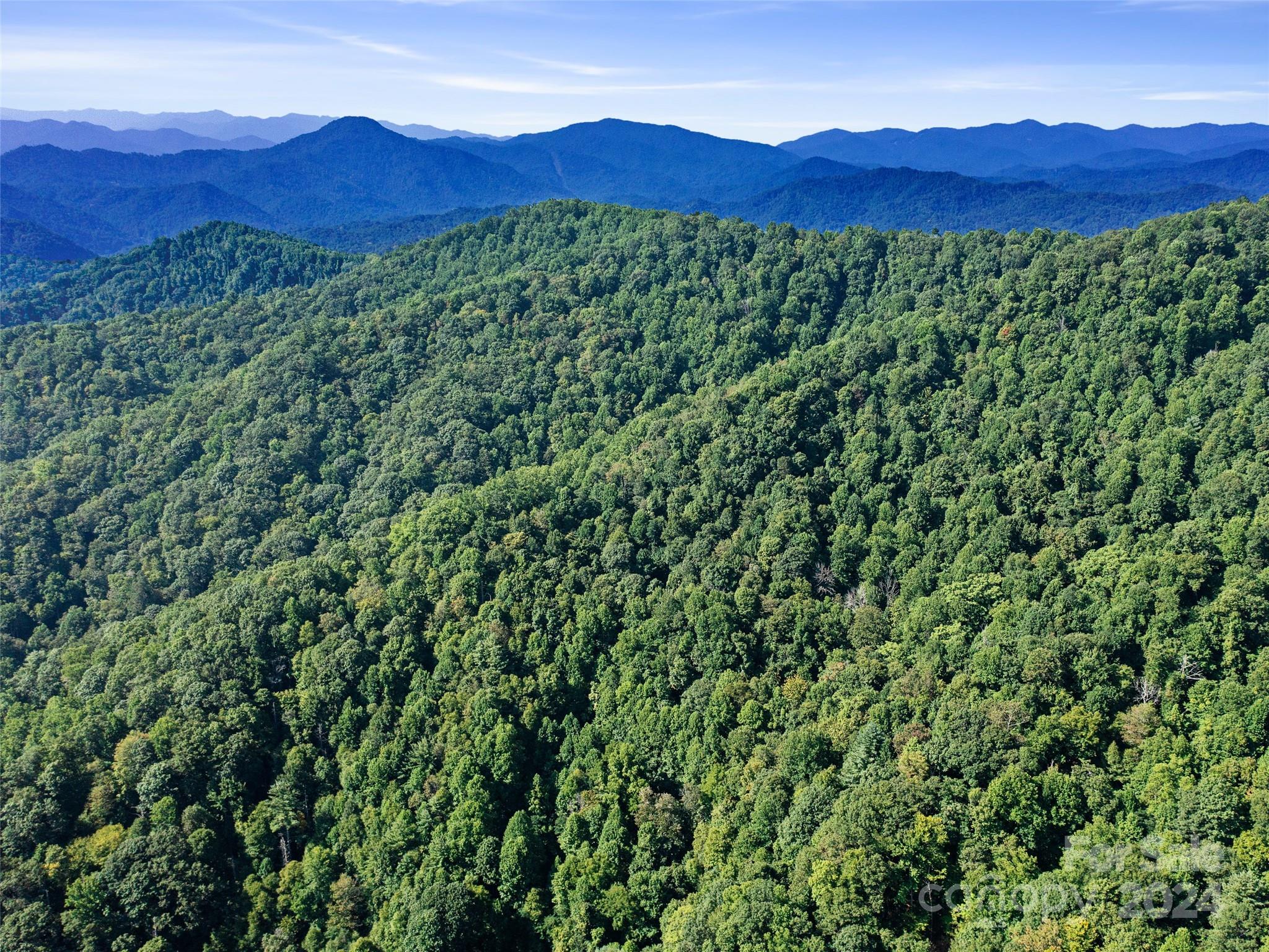 0 Byrd Cr Road Green Mountain, NC 28740 - Photo 16 of 18 a view of a lush green hillside and a houses