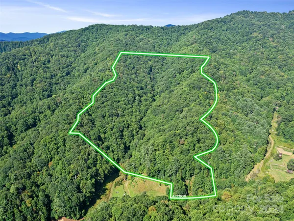 a view of a balcony with a plant