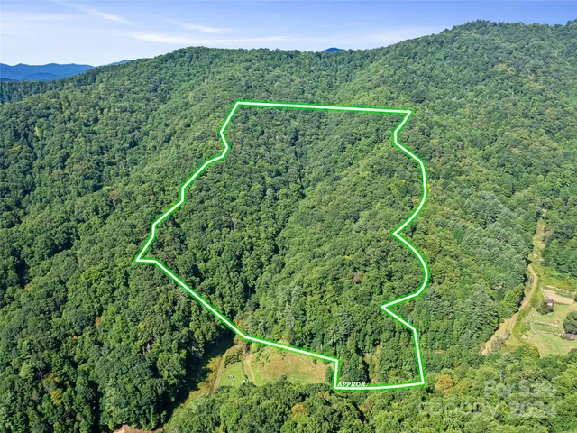 a view of a balcony with a plant